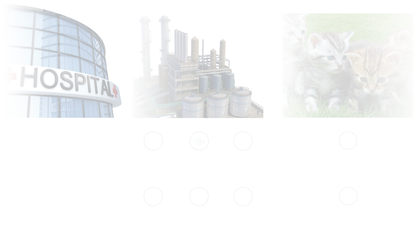 in-10(1).png